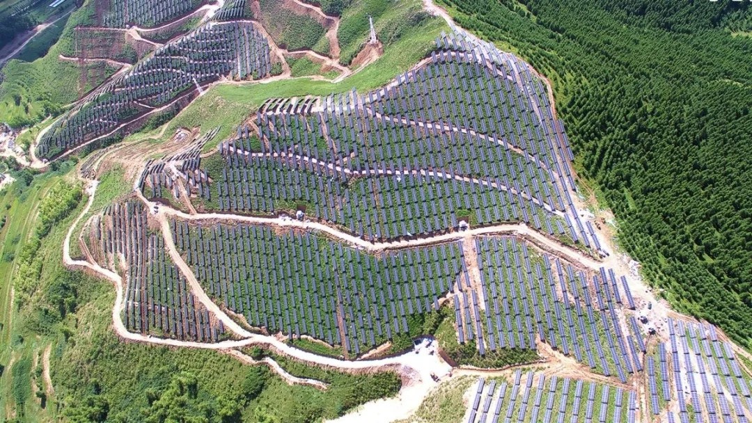 1644473675164431.jpg 640.webp (2).jpg