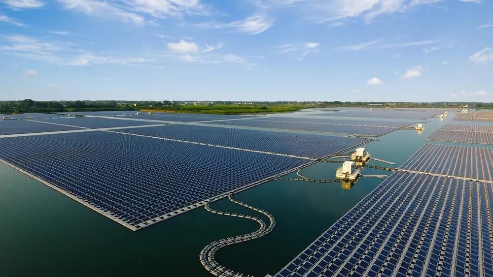 1644993701624648.jpg 640.webp (2).jpg