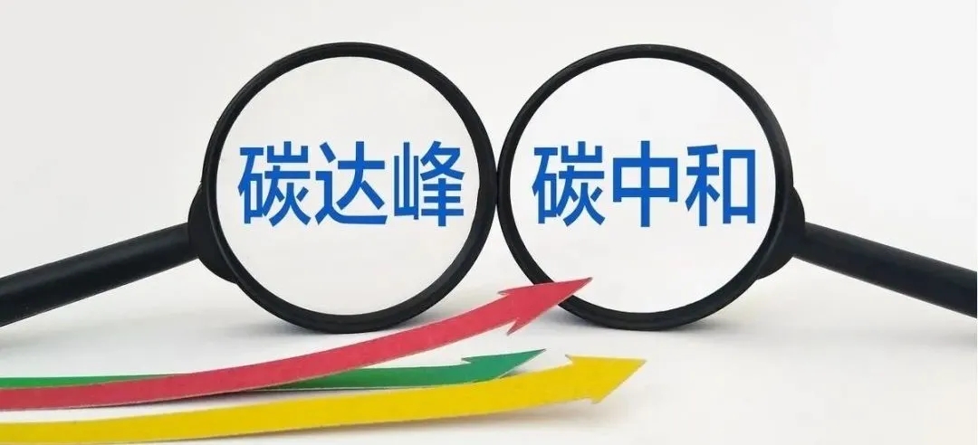 1645068643149850.jpg 640.webp.jpg