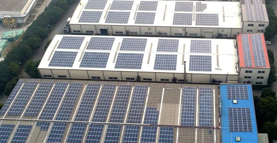 1645068686248020.jpg 640.webp (3).jpg