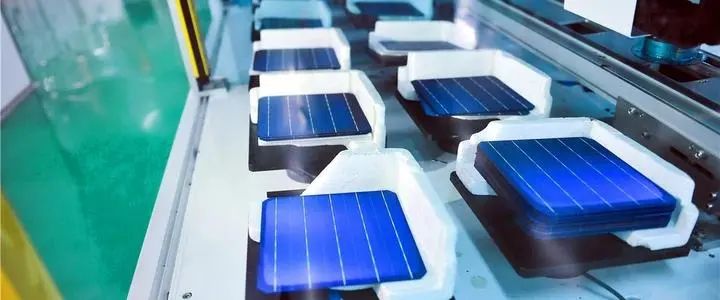 1646890960868210.jpg 640 (1).jpg