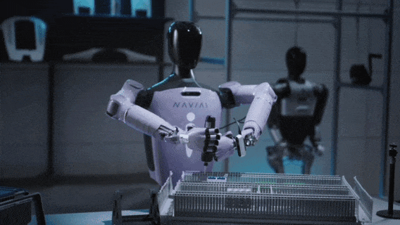 9.gif