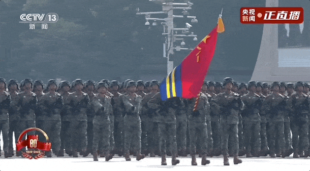 6.gif