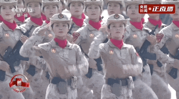 12.gif