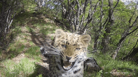 1760080582983119.gif 3.gif