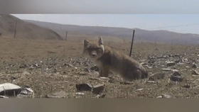 1760080603343274.gif 7.gif