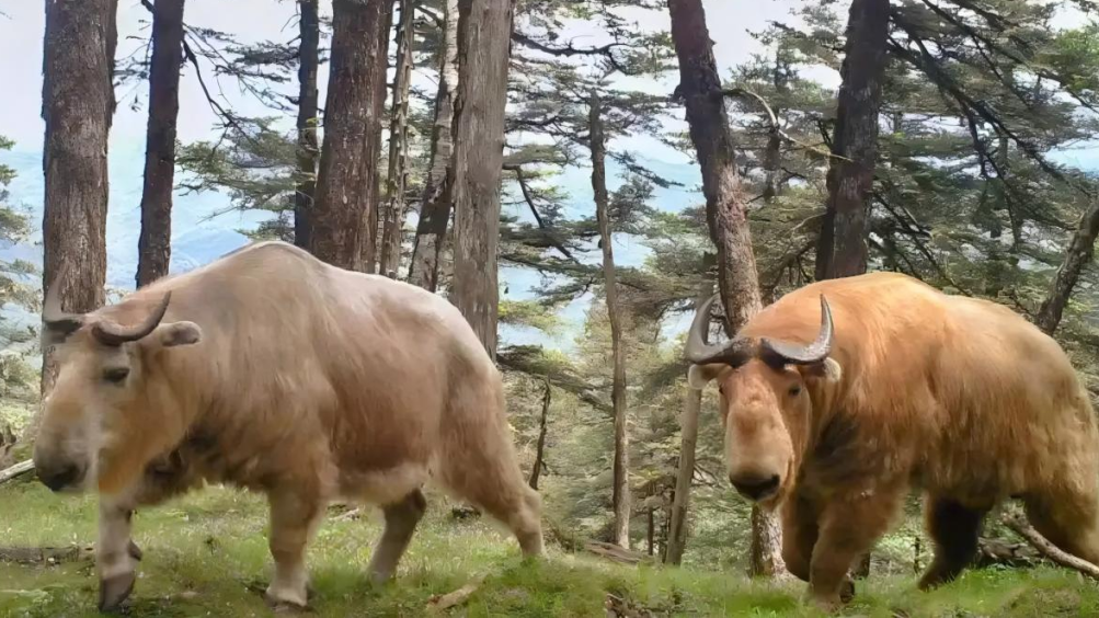 1760080607298336.png 8.png