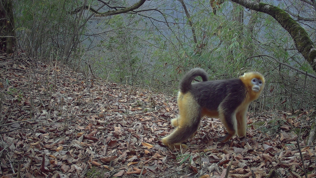 1760080613581758.png 9.png