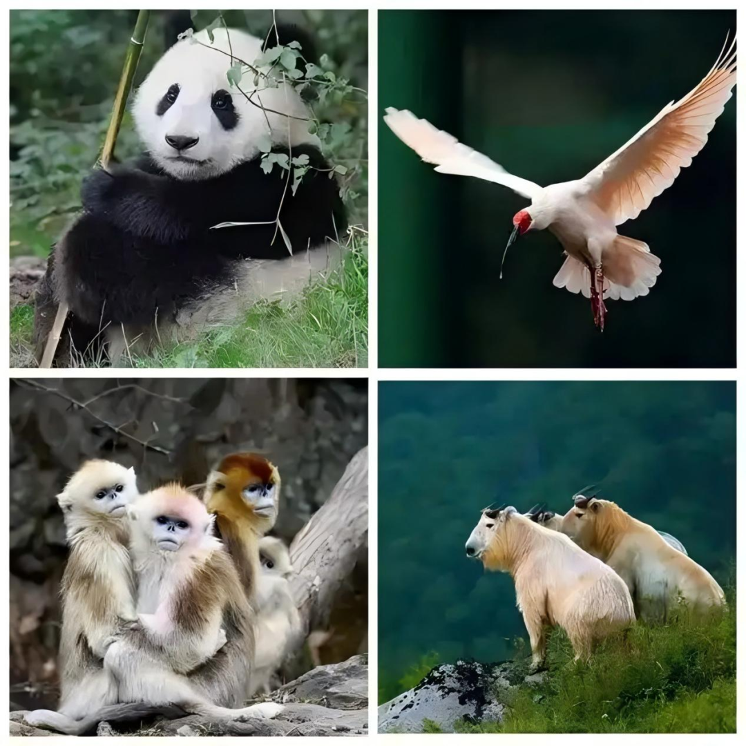 1760080618463212.png 10.png