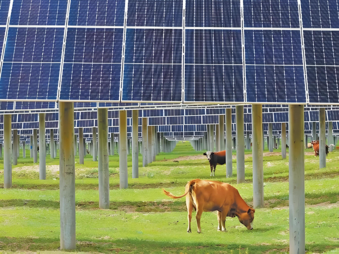 1762507415966596.png 6.png