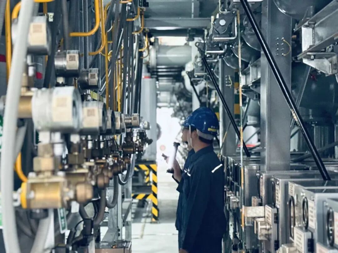 1764071873159225.jpg 4.jpg