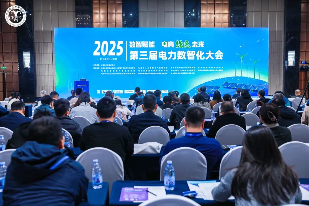 1764072869538969.jpg 3.jpg