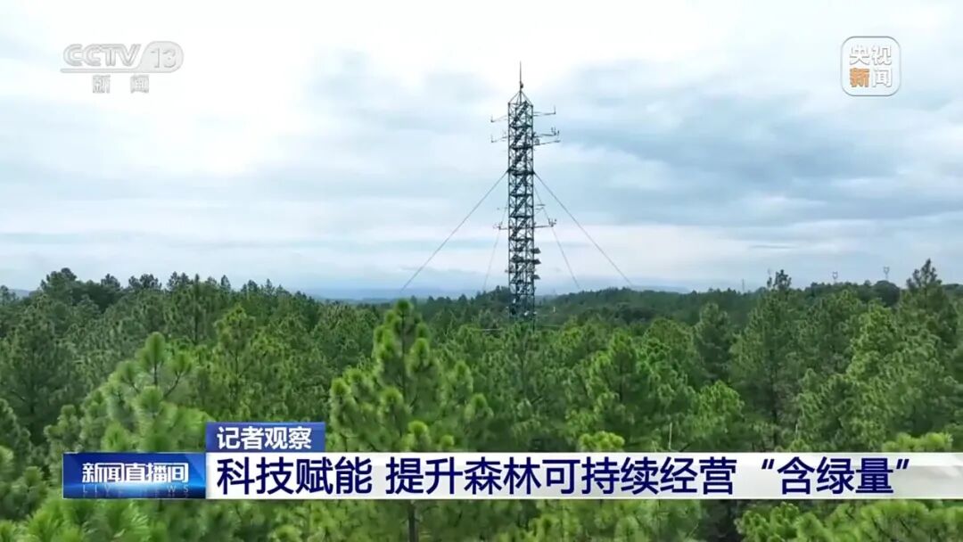 1765359887882241.jpg 1.jpg