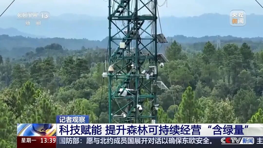 1765359892482775.jpg 2.jpg