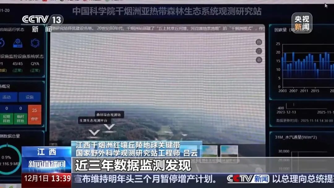 1765359897181158.jpg 3.jpg