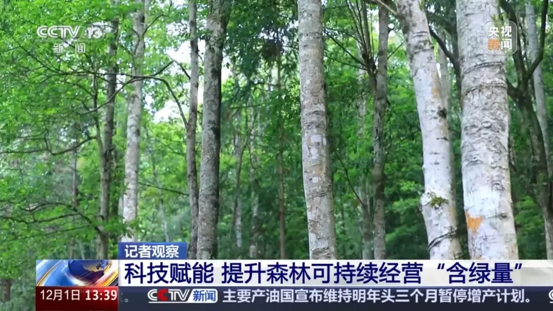 1765359902658019.jpg 4.jpg