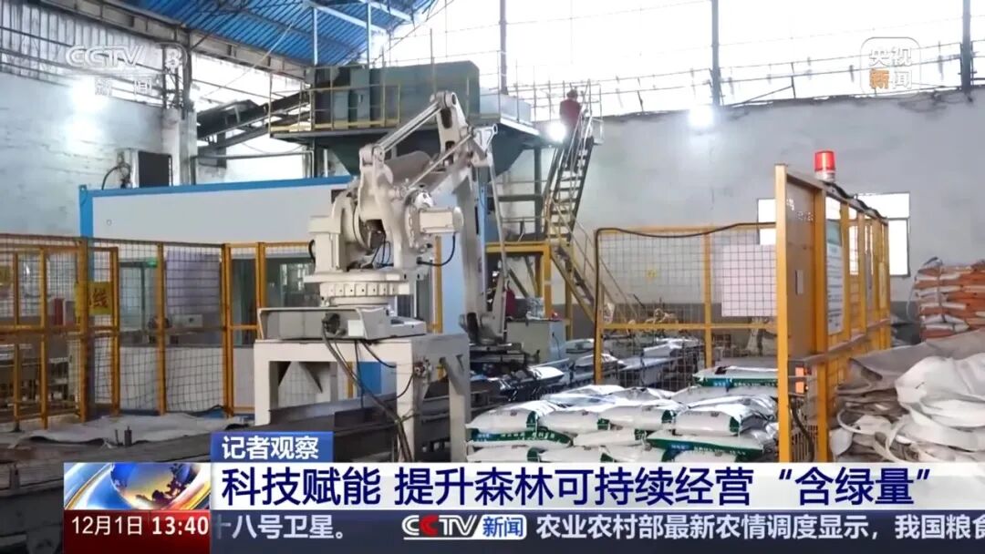 1765359907376067.jpg 5.jpg