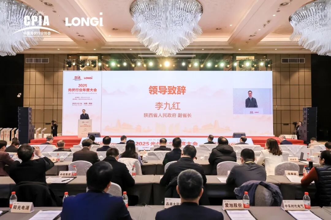 1766740041796536.jpg 1.jpg