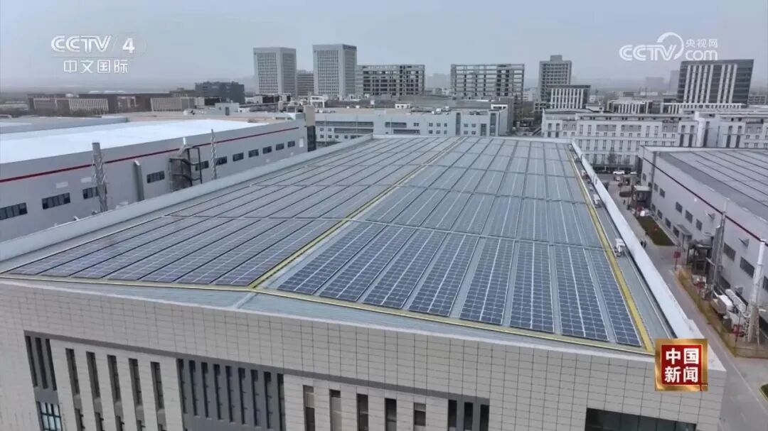 1767149013850469.jpg 3.jpg