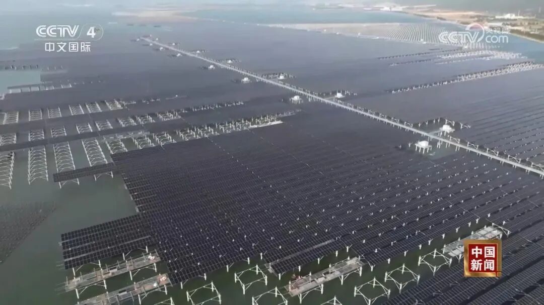 1767149030712928.jpg 6.jpg