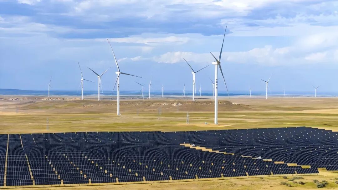 1767149036617888.jpg 7.jpg