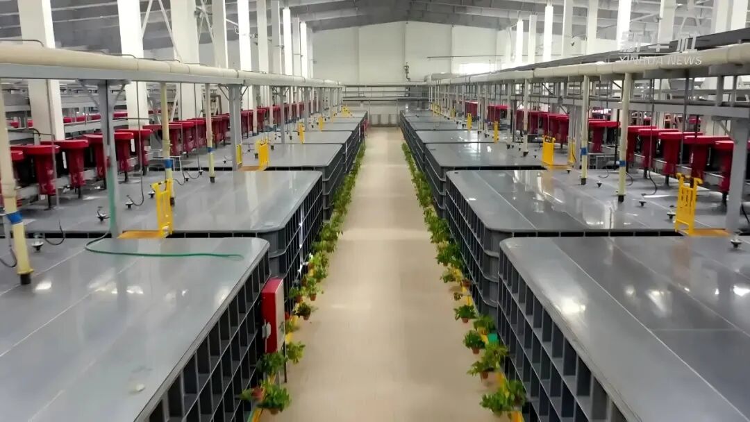 1767951529956459.jpg 1.jpg