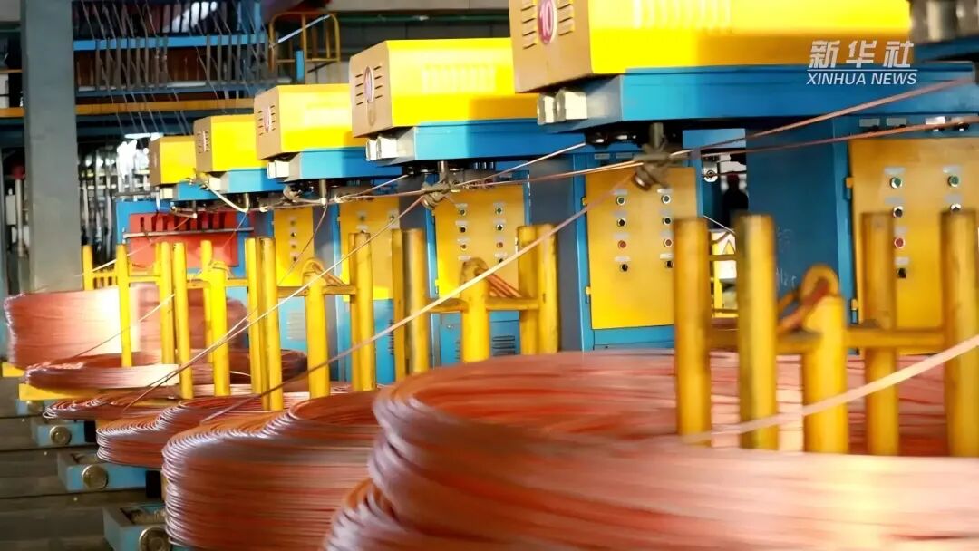 1767951533846899.jpg 2.jpg