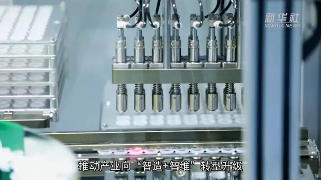 1767951552463613.jpg 6.jpg