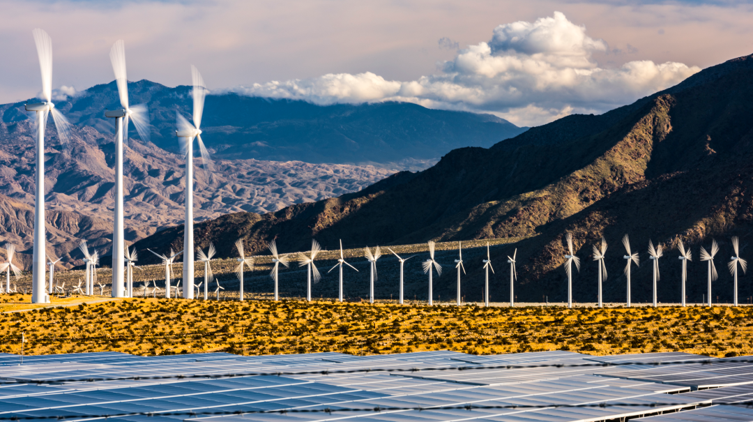 1768900712900428.png 6.png