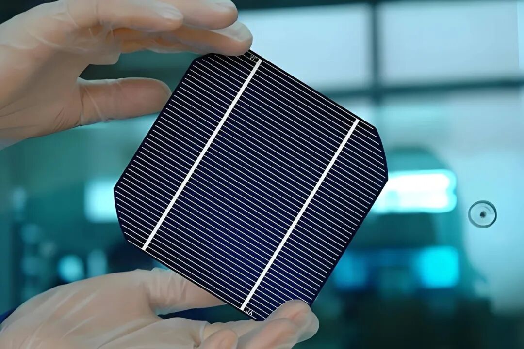 1769478938528424.jpg 2.jpg