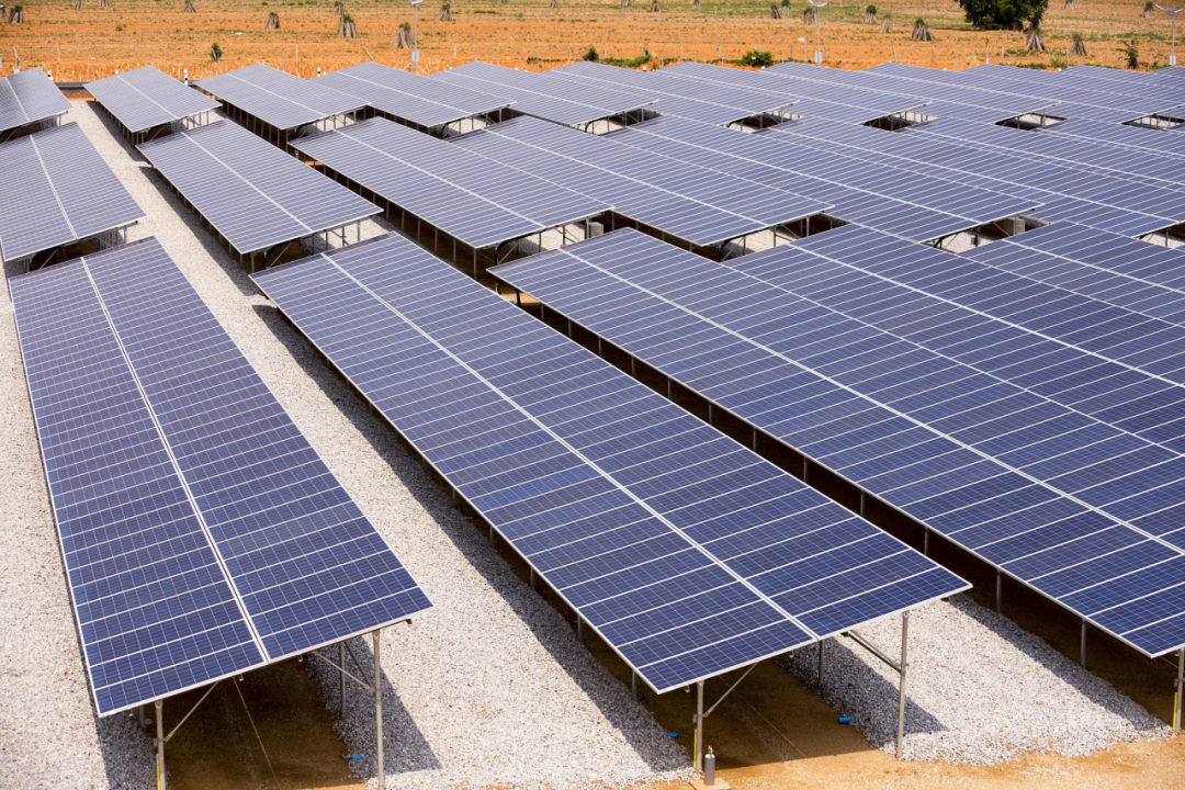 1769478950371189.png 4.png