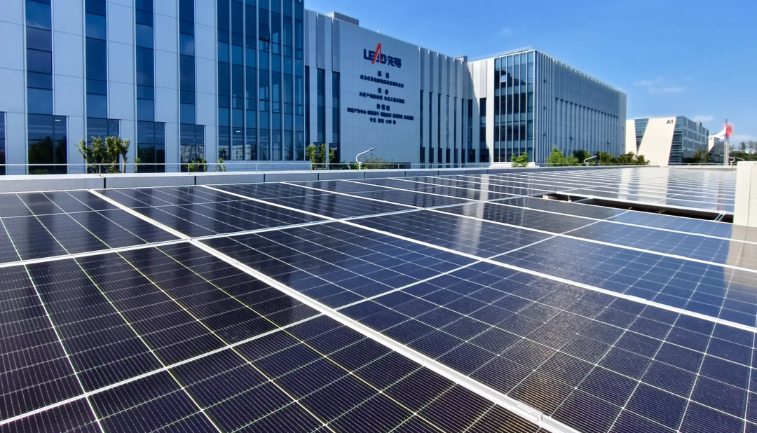 1769478956915144.png 5.png