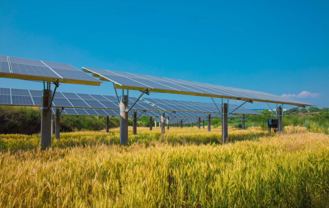 1769478966117134.png 7.png