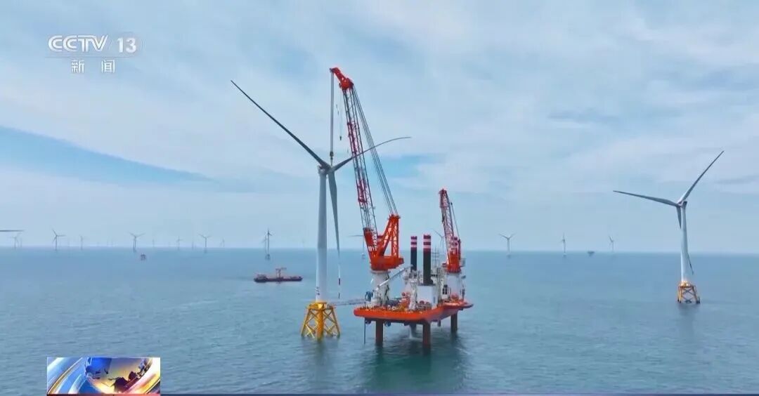 1769479974810109.jpg 3.jpg