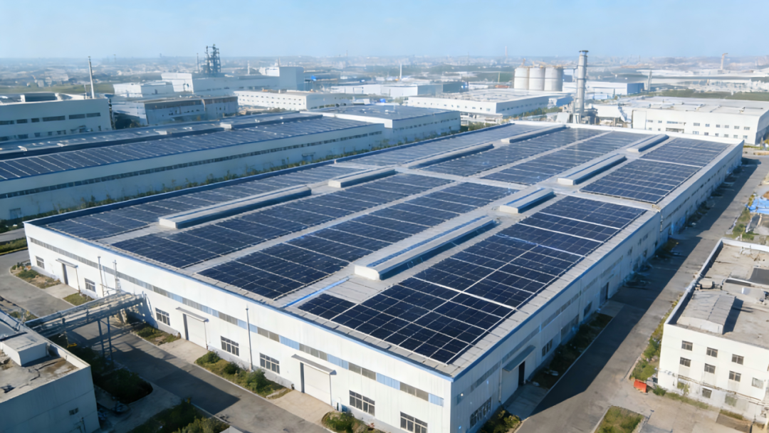 1769481167834635.png 5.png