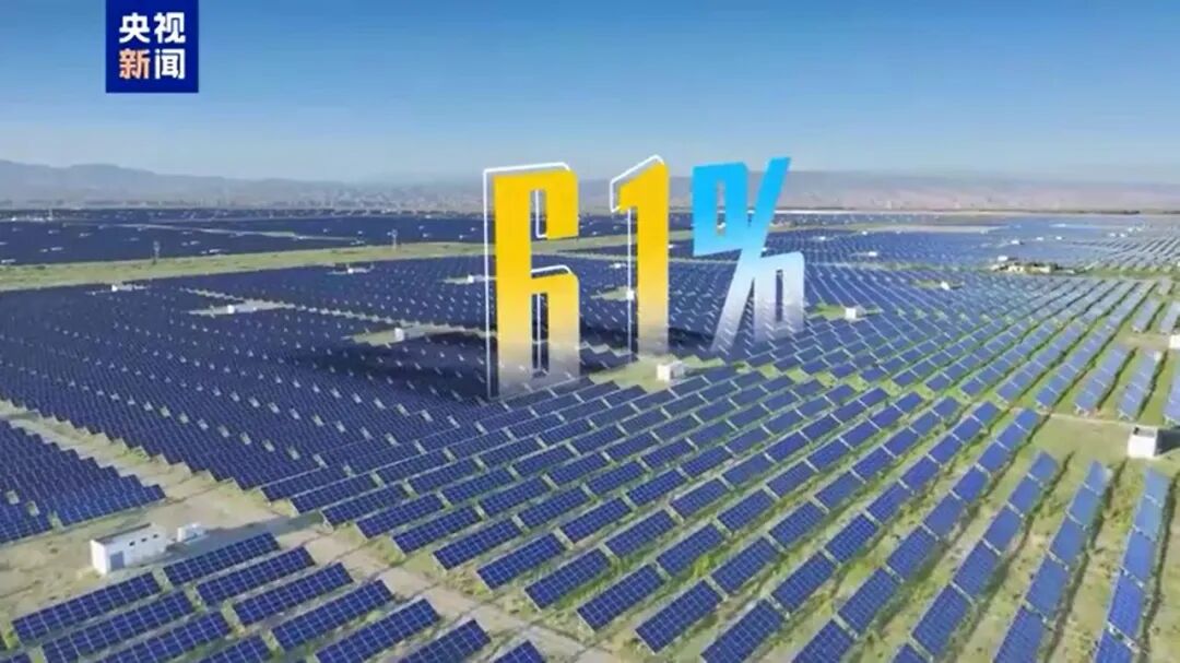 1769482279464481.jpg 9.jpg