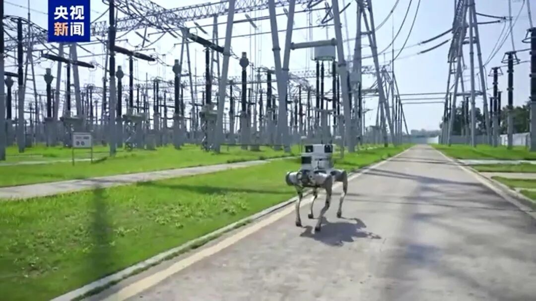 1769482311160230.jpg 16.jpg