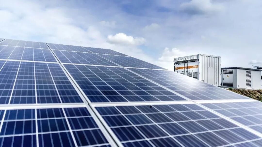 1769592326818040.jpg 7.jpg