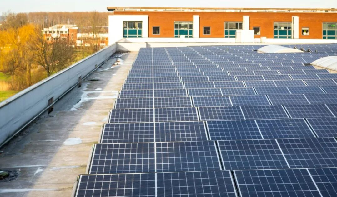 1770025448869884.jpg 1.jpg