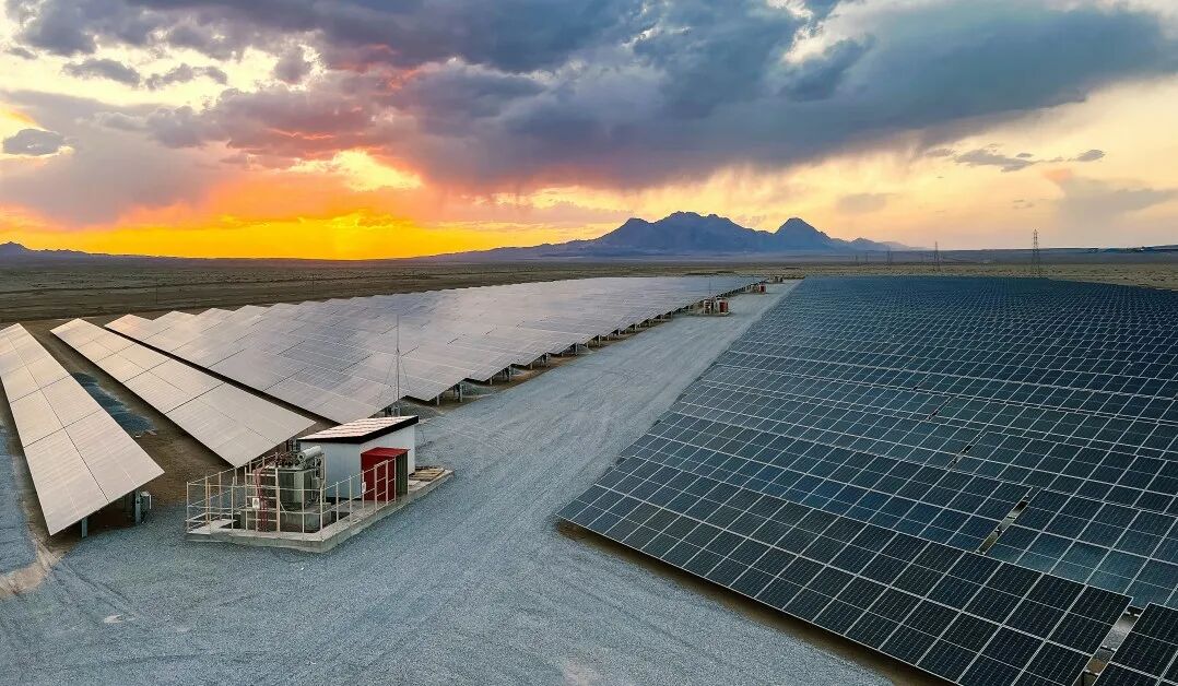 1770025468969449.jpg 5.jpg