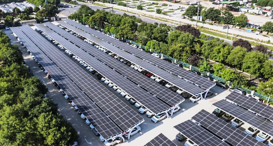 1771038920694565.png 1.png