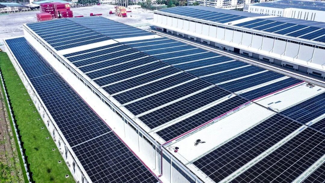 1771038936321612.jpg 2.jpg