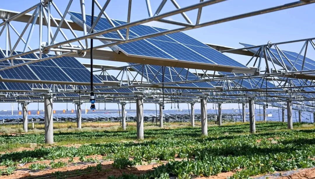 1771038947116454.jpg 4.jpg