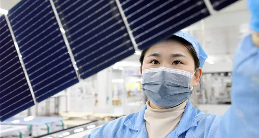 1771039025973288.png 5.png