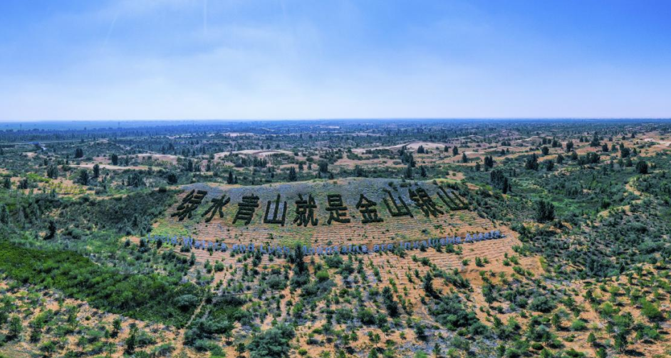 1771039031960614.png 6.png