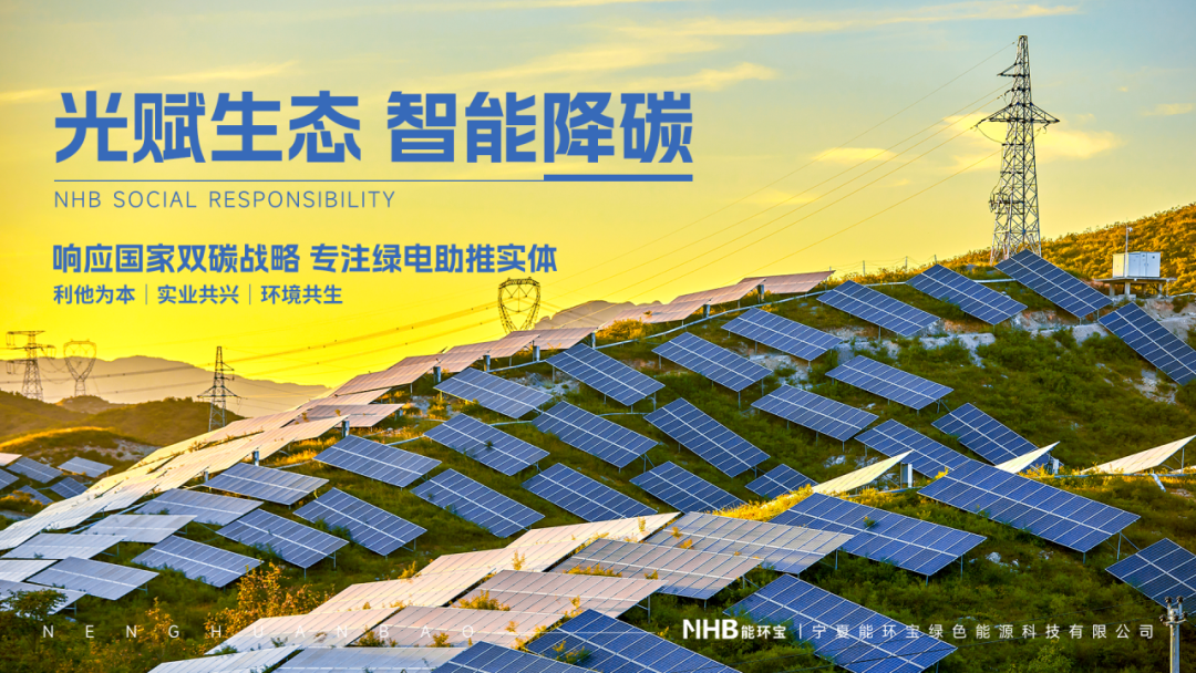 1772159289495097.png 7.png