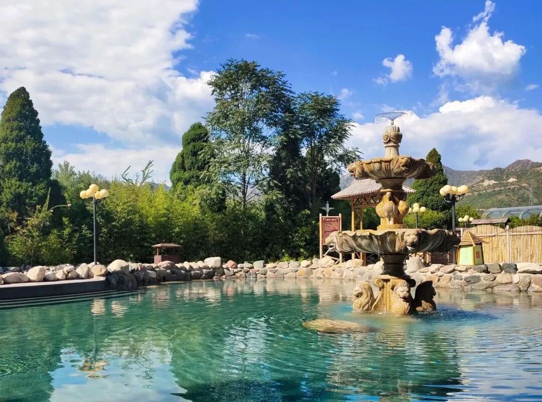 1772162944505401.jpg 1.jpg