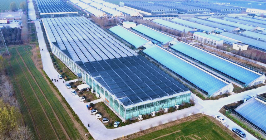 1772162973720720.png 6.png