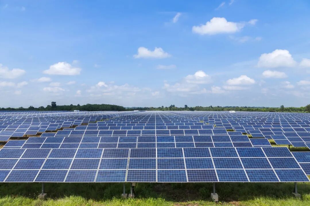 1772442615593489.jpg 2.jpg