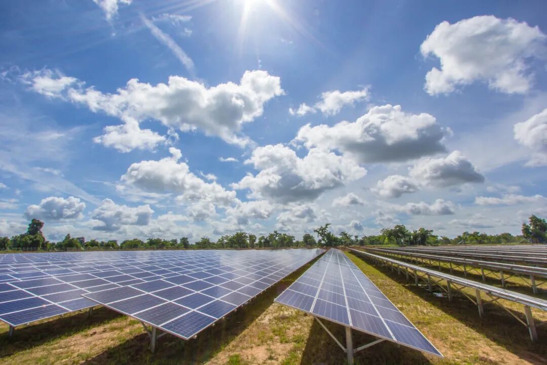 1772442621496829.jpg 3.jpg